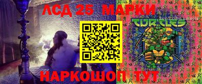 крисы Тверь