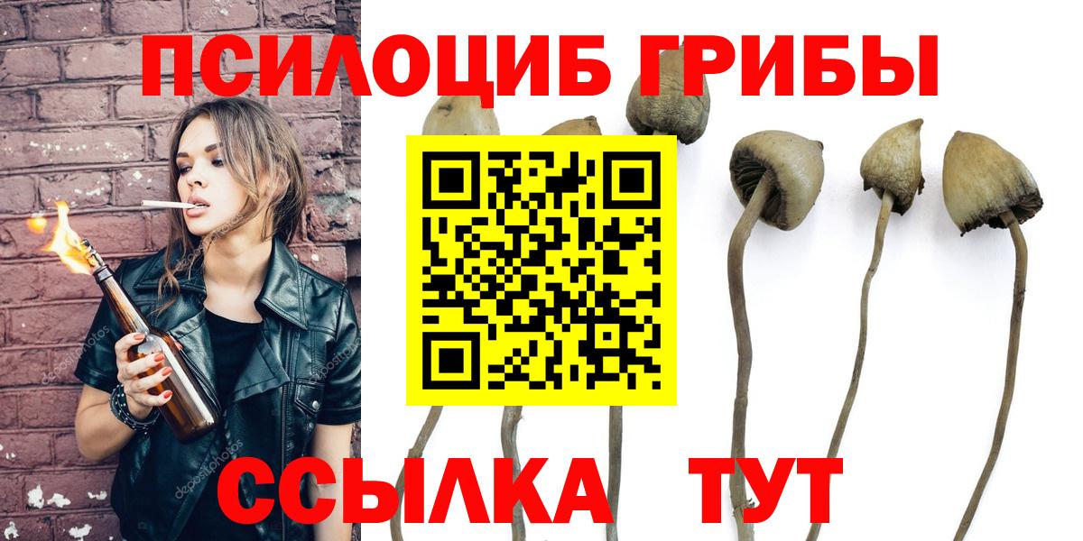 Псилоцибиновые грибы Psilocybe Мариинск