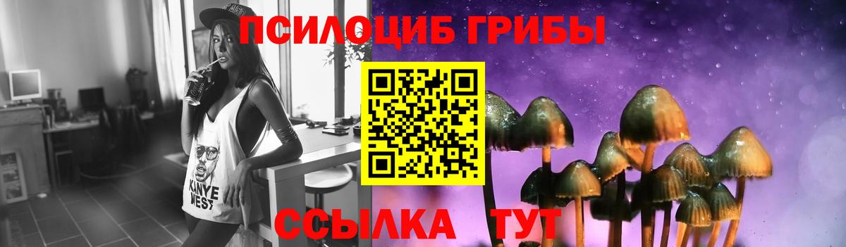 Мариинск  Галлюциногенные грибы Cubensis  Вход с VPN 